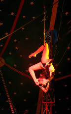 clown - festival circus - festival cirque - festival clown - festival de cirque - festival de clown - festival du cirque